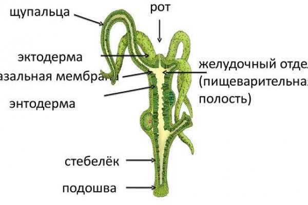 Кракен сайт сегодня