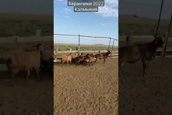 Актуальный домен кракена