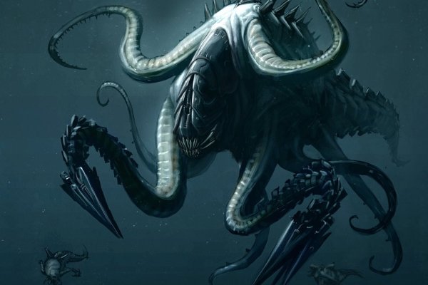 Kraken пользователь не найден при входе